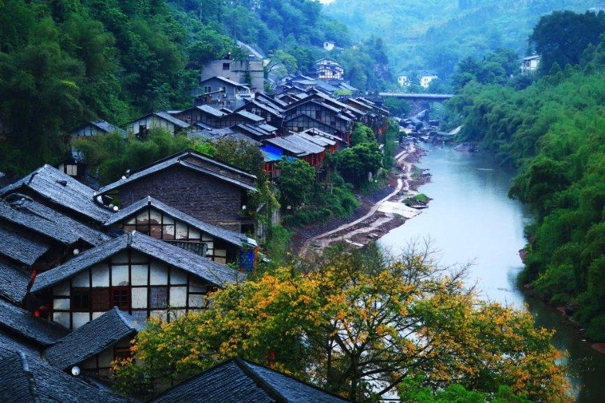 镜之边缘：催化剂